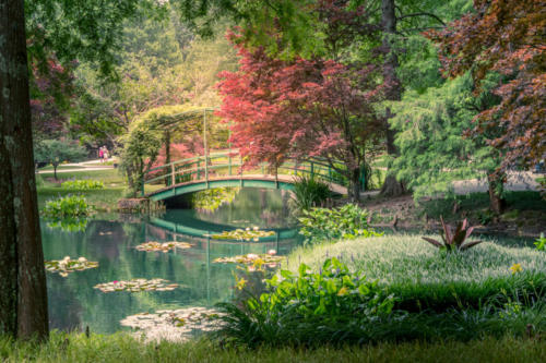 Monet Bridge